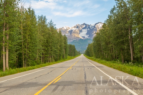 Looking at Mount Billy Mitchell from the Richardson Highway.