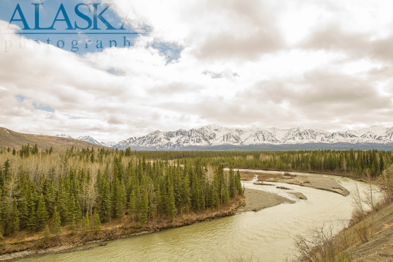 Looking down on the Jack River from the Alaska Railroad.