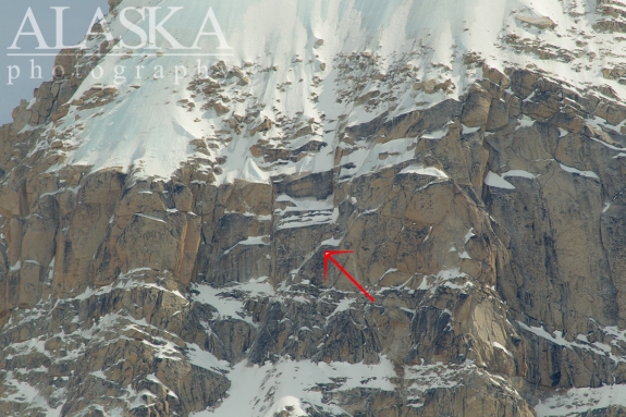 A pair of climbers tackle Moonflower Buttress on Mount Hunter, possibly in The Vision crux.