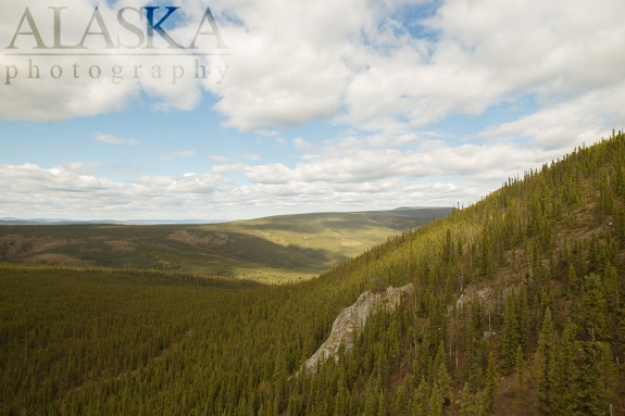 Looking north from the top of the trail (falcon rock) which begins mid parking lot of East (upper) Grapefruit Rocks.