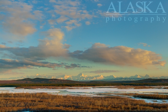 Looking south over the Tanana River at the Alaska Range.