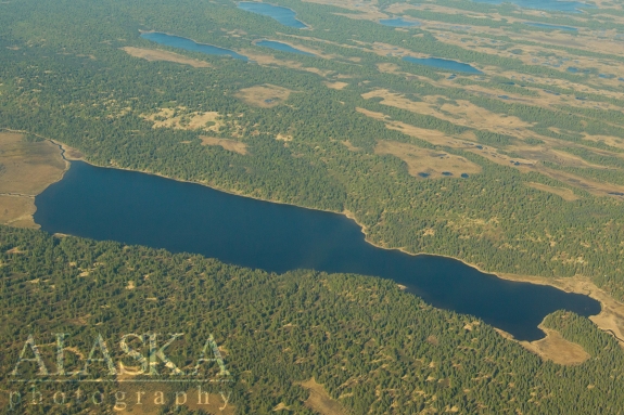 Looking down on Swan Lake from about 2,000ft