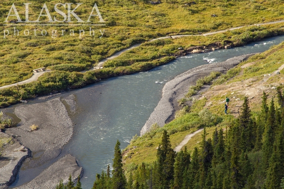 Looking down on the Savage River and Loop Trail from the Alpine Trail