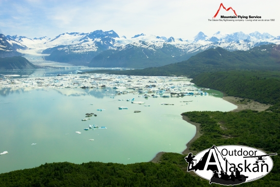 Half a decade ago Alsek Glacier covered half of Alsek Lake. Now it enters at the base of the mountains. Taken July 2009.