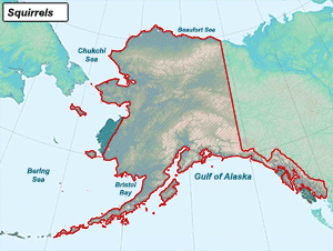 Habitat of Squirrels in Alaska