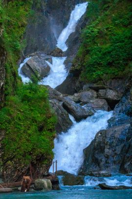 Watching the brown bears swim under the falls while looking for salmon on the Valdez shore excursion tour.