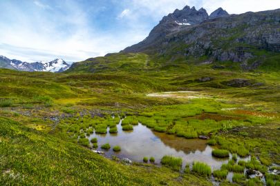 A pond at the back of the alpine before it gets in to the mountain peaks.