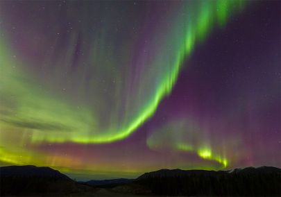 The northern lights dance through the sky while traveling through the Yukon on our aurora borealis tour.