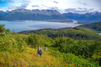 Hiking up above Port Valdez in to the alpine.