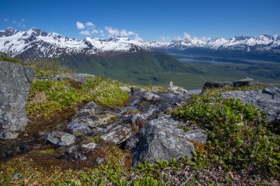 Hiking past an alpine creek.