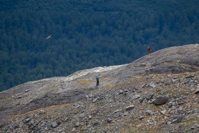 An eagle flies by while hiking out from Glacier Lookout.