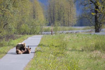 Fellow pedestrians on the bike path.