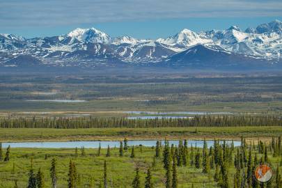 Looking out at the Alaska Range over Monaha Flat from the Denali Highway.