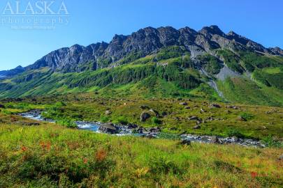 Up along the head waters of Allison Creek.