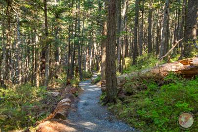 Starting on the Battery Point Trail, Haines, Alaska. May