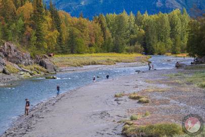 Bird Creek outside Anchorage, near Girdwood, during fishing season.