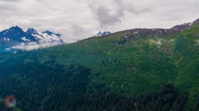 Canyon Slough as it runs down from the alpine through the alders disappearing into the spruce.