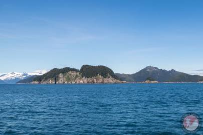 Chat Island on the edge of Blying Sound.