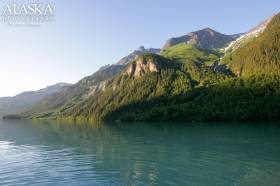 The eastern shore halfway up Chilkoot Lake.