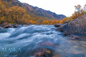 Craigie Creek from in front of Lucky Shot and War Baby Mine.