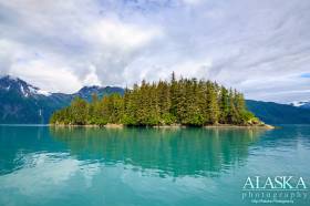 Entrance Island in Port Valdez.