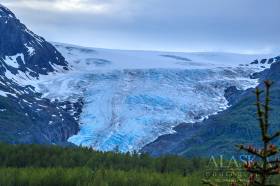 Looking at Exit Glacier from out by Savage River.