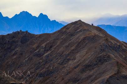 Looking at the top of Government Peak from Hatch Peak in Hatchers Pass.