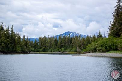 Looking between Glacier Island (left) and Growler Island (right) from along the western edge of Growler Bay.