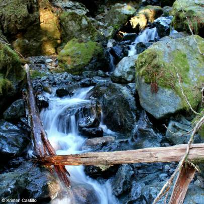 The unnamed creek that flows off Bear Mountain along Herring Cove Trail.