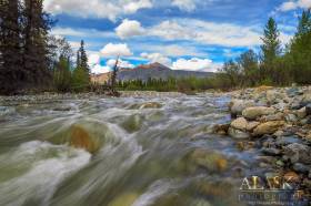 Horsfeld Creek right before it enters Beaver Creek, with the Nutzotin Mountains as they stop at Braye Pass.