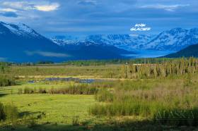 Looking up the Knik River valley.