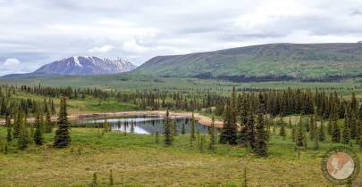 Lake L619992W411784 near Horsefeld, in Wrangell-St.Elias NP