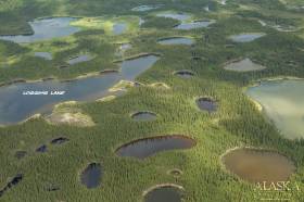 Logging Lake near Tetlin.