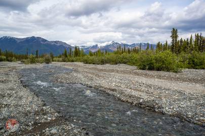 Lost Creek as it runs out from the Mentasta Mountains.