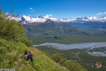 The steep climb as you begin to enter the alpine.