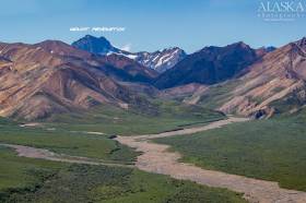 Looking at Mount Pendleton from Polychrome Pass.