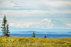 On a clear day you can see Denali from Murphy Dome, outside Fairbanks.