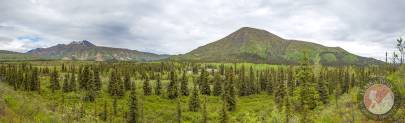 Nutzotin Mountains (left), Dish Mountain (right), with Beaver Creek running through the trees in the foreground.