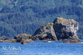 Porpoise Rocks and Hinchinbrook Island behind them.