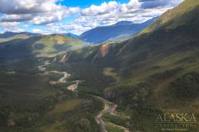 Ptarmigan Creek as it merges with Beaver Creek.