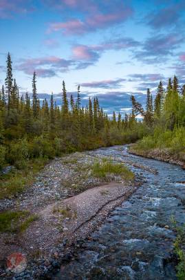 Rock Creek before is passes under Nabesna Road.