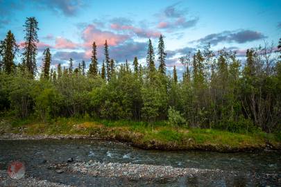 Rock Creek near the Nabesna Road.