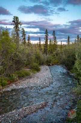 Looking south down Rock Creek.