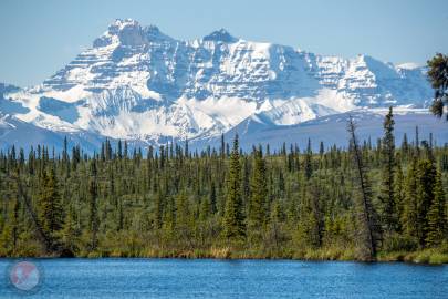 Tanada Peak rises up behind Rock Lake as a family of loons swim across.