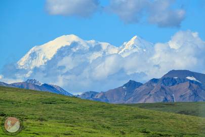 Denali from Sable Pass, Denali National Park.