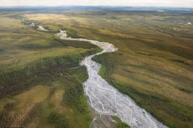 Stuver Creek as it leaves Wrangell-St. Elias Preserve.