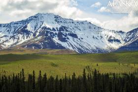 Wiki Peak from the south near Beaver Creek.