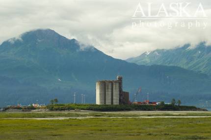 Looking out at Ammunition Island from the roadside.