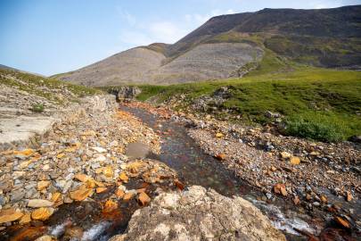 Fire Creek before it enters the little canyon.