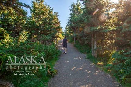 The trail up Flattop Mountain starts a short distance through the last of the tree line.